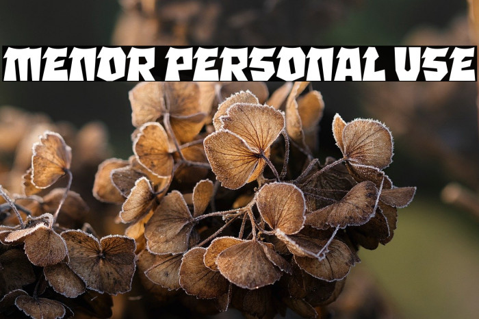 MENOR Personal Use Example 2