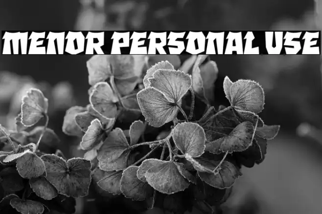 MENOR Personal Use Example 2