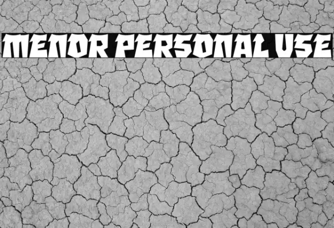 MENOR Personal Use Example 3