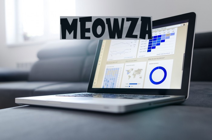 MEOWZA Fonte examples