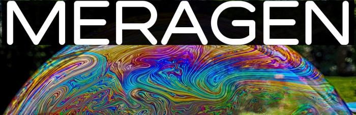MERAGEN Example 1