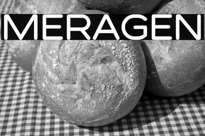 MERAGEN Example 2