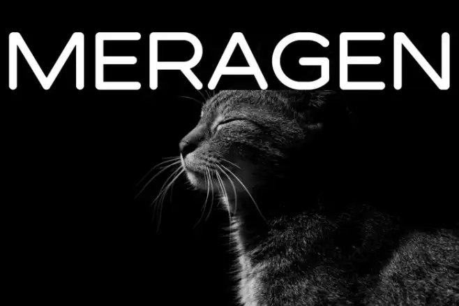 MERAGEN Example 3