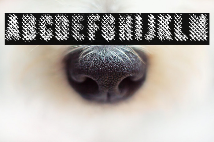 MERCURYBWPERSONALUSE-Regular Example 2