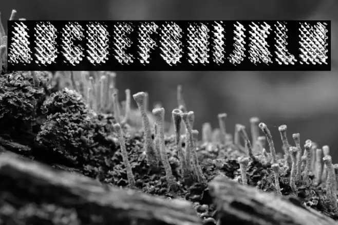 MERCURYBWPERSONALUSE-Regular Font examples