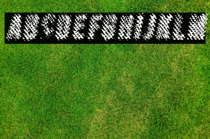 MERCURYPERSONALUSEDAFONT-Ita Example 2