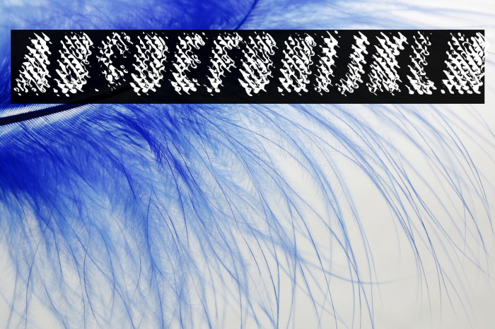 MERCURYPERSONALUSEDAFONT-Ita Example 3