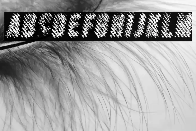 MERCURYPERSONALUSEDAFONT-Ita Font examples