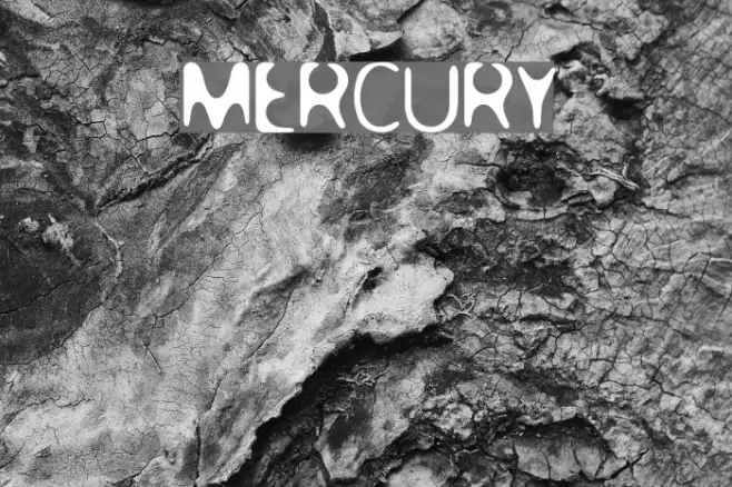 MERCURY Example 2