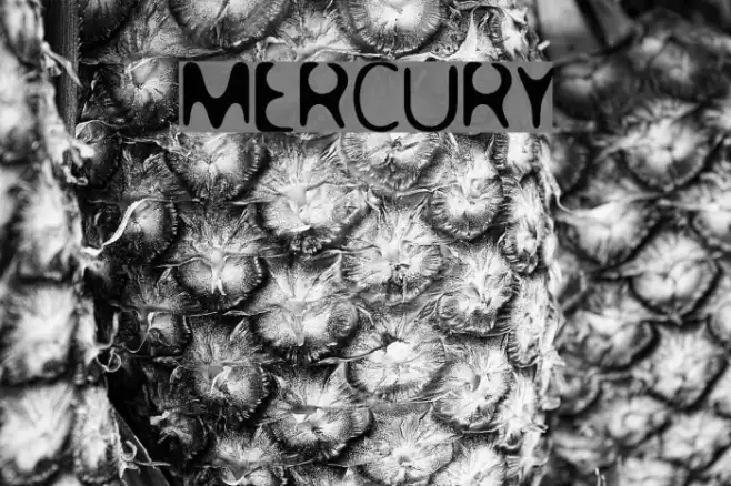 MERCURY Example 3