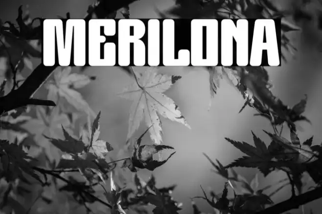 MERILONA Example 1