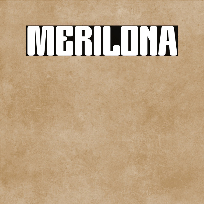 MERILONA Example 2