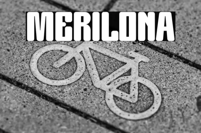 MERILONA Example 3
