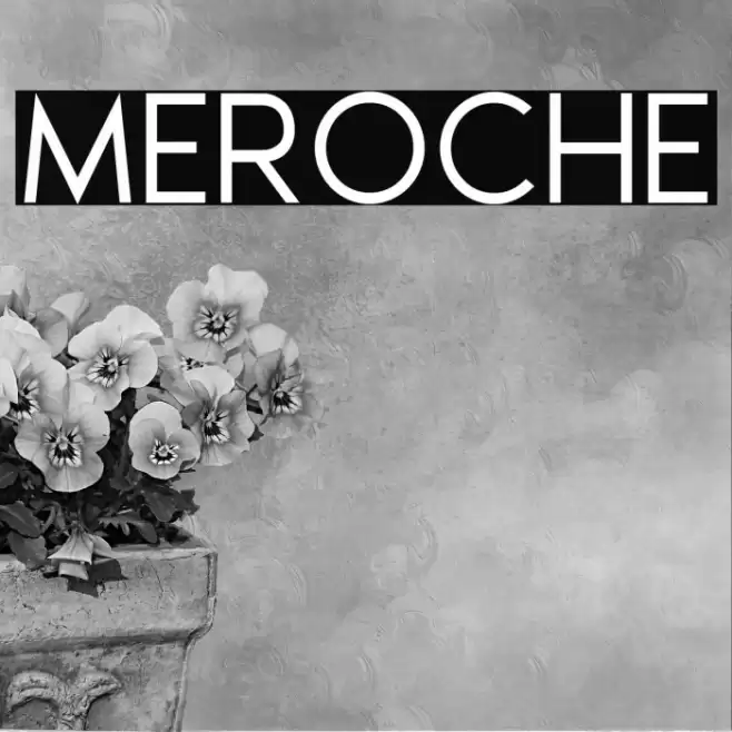 MEROCHE Font examples