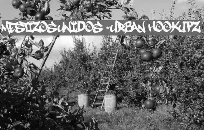 MESTIZOS UNIDOS -URBAN HOOKUPZ Font examples