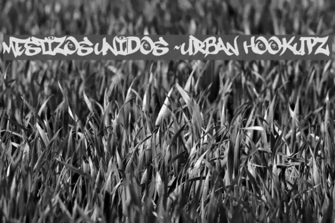 MESTIZOS UNIDOS -URBAN HOOKUPZ Font examples