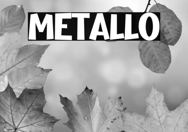 METALLO Example 2