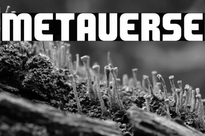 METAVERSE Polices examples