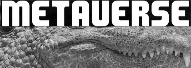 METAVERSE Polices examples