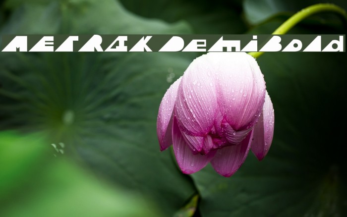 METRIK DemiBold Font examples