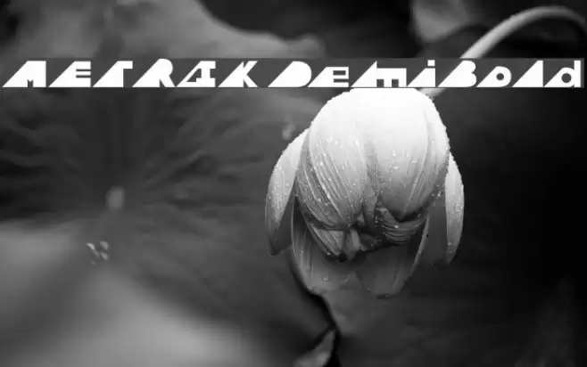 METRIK DemiBold Font examples