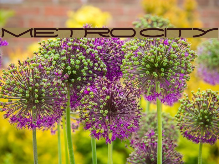 METRO CITY Font examples
