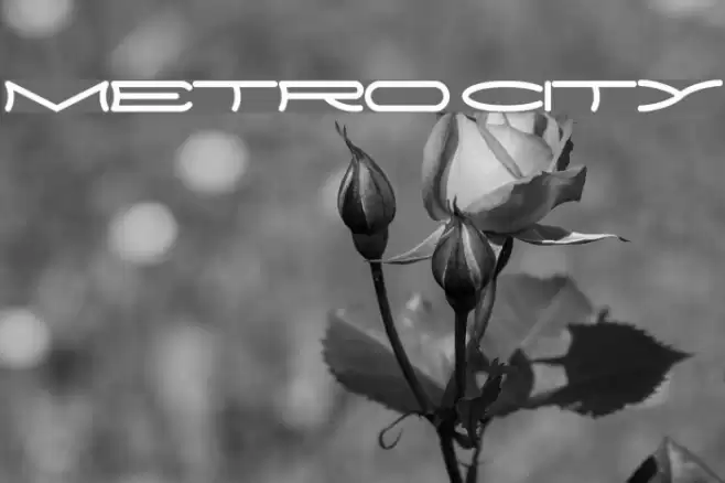 METRO CITY Font examples