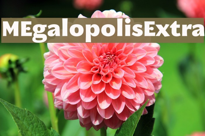 MEgalopolisExtra Example 3