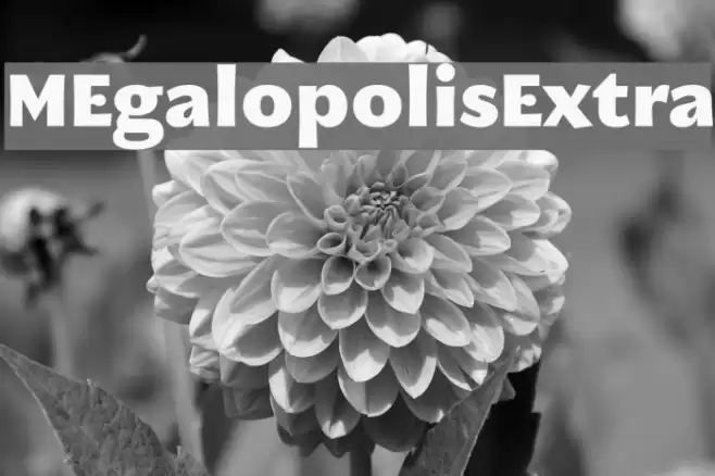MEgalopolisExtra Font examples