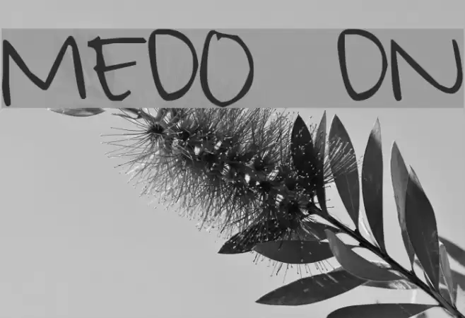 MEllybO0 fONt Polices examples