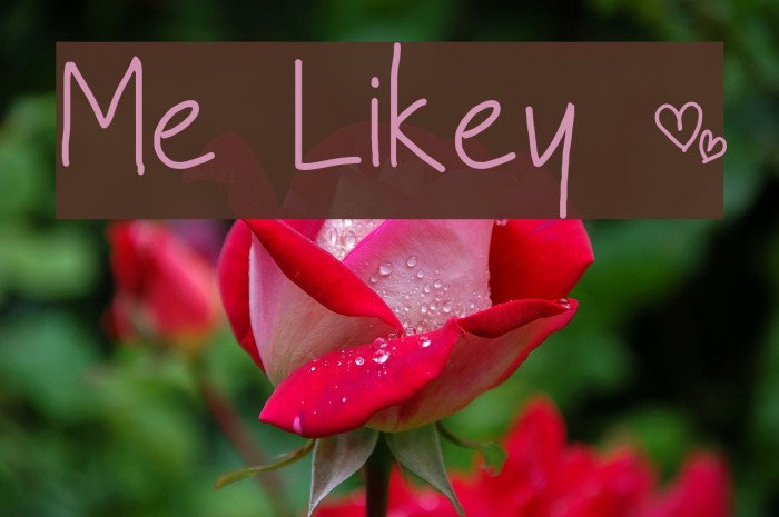 Me Likey ~ Font examples