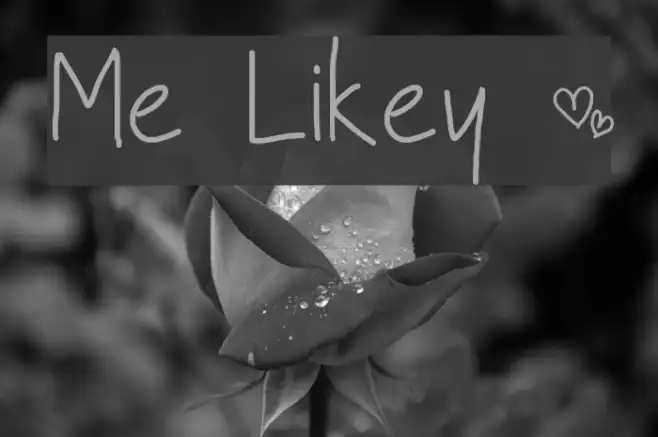 Me Likey ~ Example 2