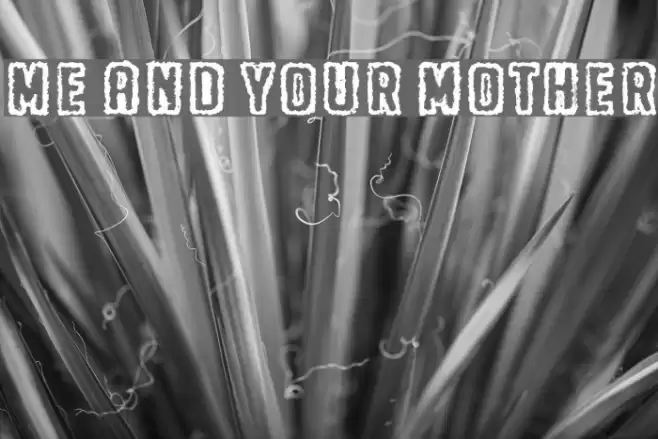 Me and your mother Font examples