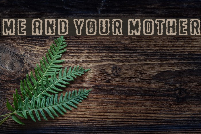 Me and your mother Font examples