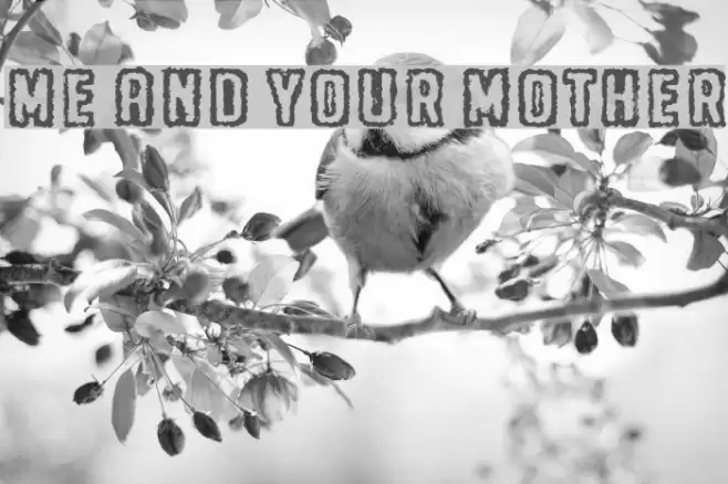 Me and your mother Font examples