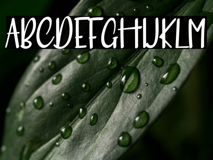 MeRitORiousLy Example 2