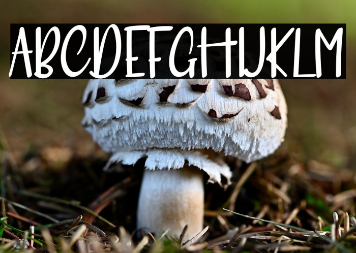 MeRitORiousLy Example 3