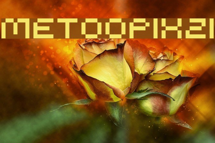 MeTooPixzi Example 1