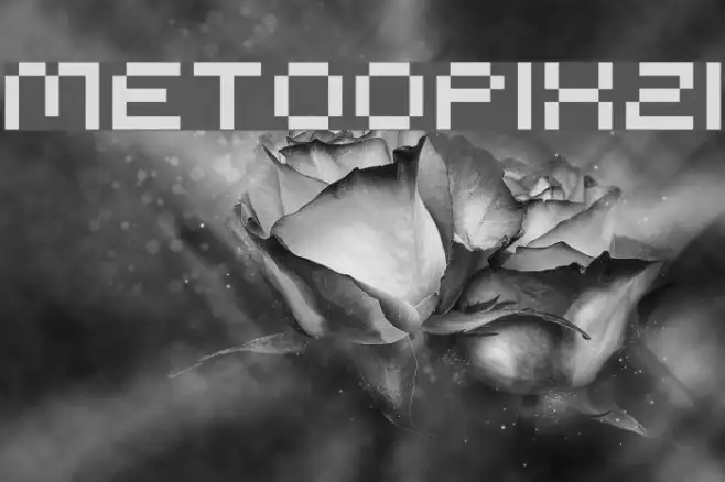 MeTooPixzi Example 1