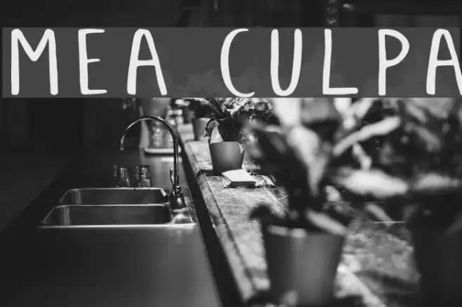 Mea Culpa Example 1