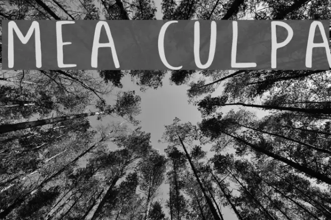Mea Culpa Example 2