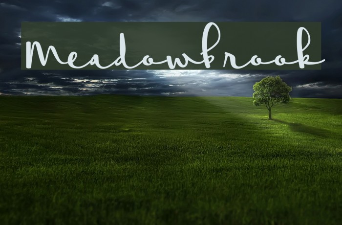 Meadowbrook Font examples