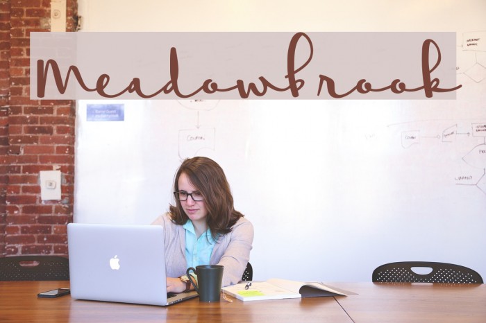 Meadowbrook Font examples
