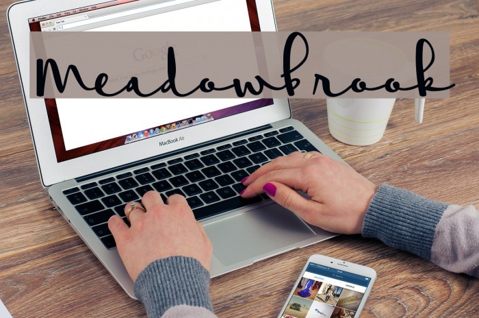 Meadowbrook Font examples