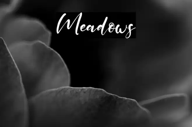 Meadows Font examples