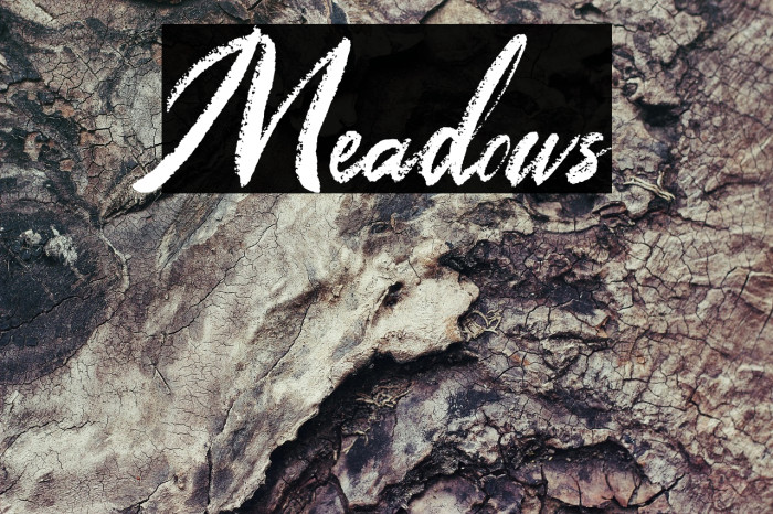 Meadows Example 2