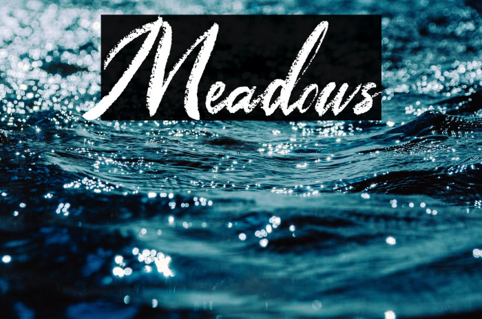 Meadows Example 3
