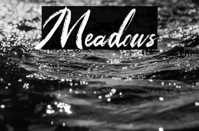 Meadows Font examples