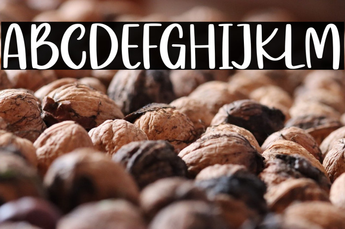 Mealky Winter Demo Example 1