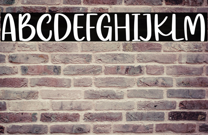 Mealky Winter Demo Example 2